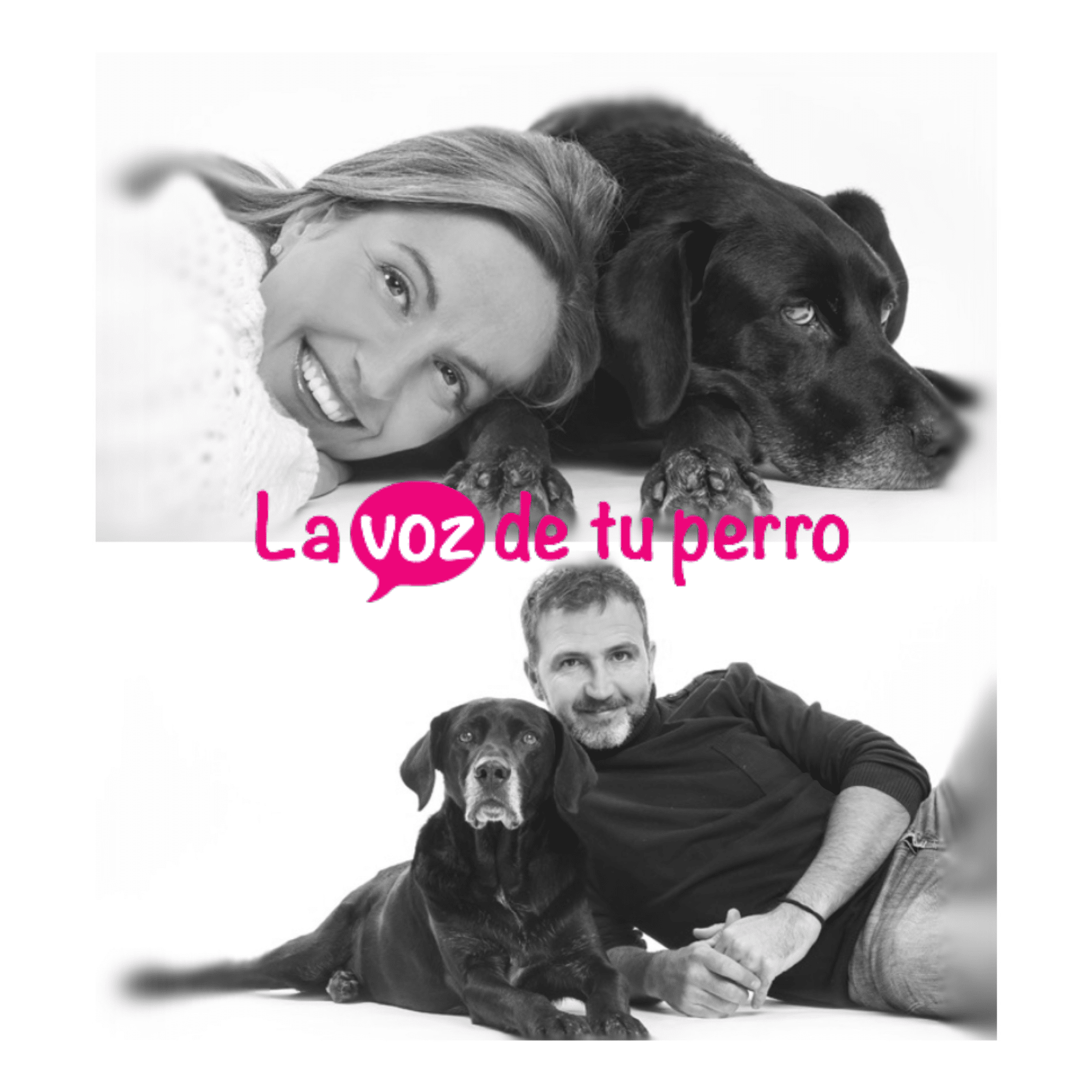 IMG 2339 La voz de tu perro - Curso Mi Animal Salud Equilibrio y Bienestar