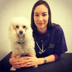 Neus Candela - Curso Mi Animal Salud Equilibrio y Bienestar
