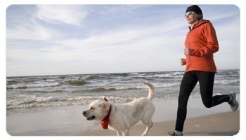 CORRIENDO - Curso Mi Animal Salud Equilibrio y Bienestar