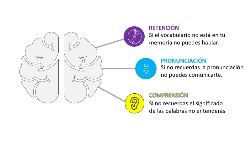 Curso Tecnicas de Estudio de Idiomas Descarga Gratis Curso Tecnicas de Estudio de Idiomas Descarga Gratis