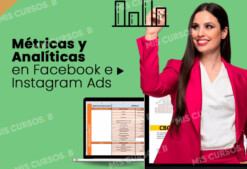 Métricas y Analíticas en Facebook e Instagram Ads de Ana Ivars