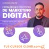 Curso: Estrategias Efectivas de Marketing Digital – Ideoviral